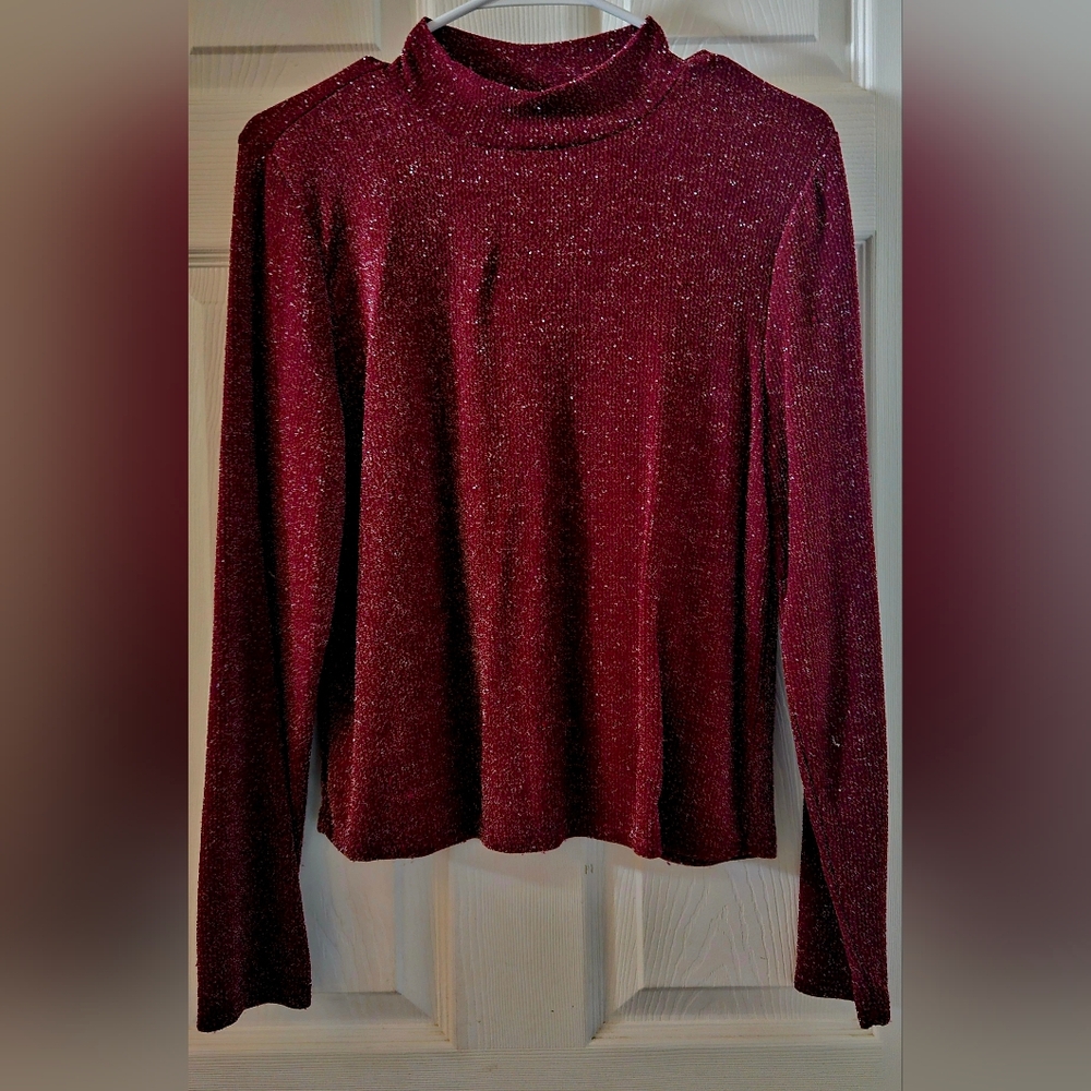 Derek Heart Sparkling Pull Over Sweater Top